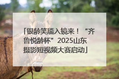 银龄笑靥入镜来！“齐鲁悦龄杯”2025山东摄影短视频大赛启动