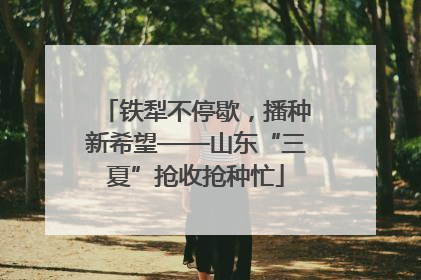 铁犁不停歇，播种新希望——山东“三夏”抢收抢种忙