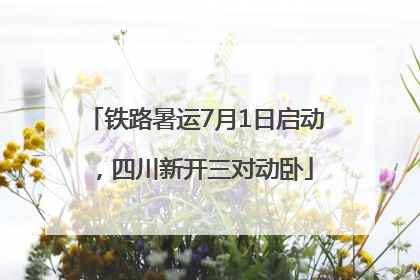 铁路暑运7月1日启动，四川新开三对动卧