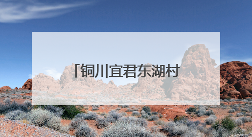 铜川宜君东湖村：党群共建让乡村从“一时美”变“持久美”