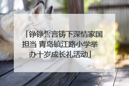 铮铮誓言铸下深情家国担当 青岛镇江路小学举办十岁成长礼活动