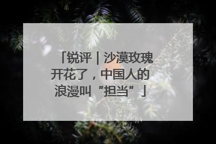 锐评｜沙漠玫瑰开花了，中国人的浪漫叫“担当”