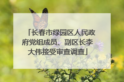 长春市绿园区人民政府党组成员、副区长李大伟接受审查调查