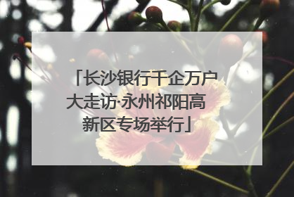 长沙银行千企万户大走访·永州祁阳高新区专场举行