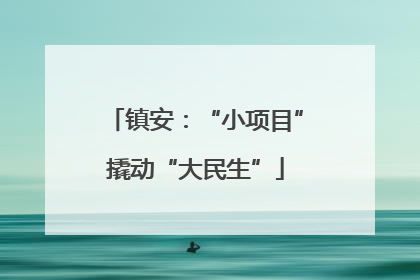 镇安：“小项目”撬动“大民生”