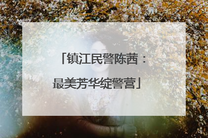 镇江民警陈茜：最美芳华绽警营