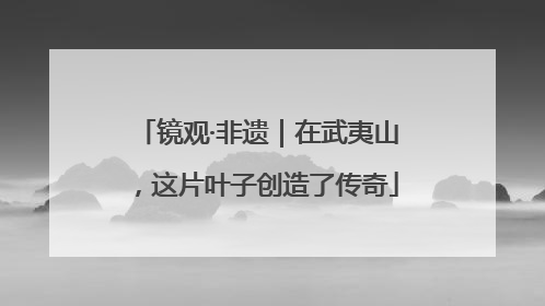 镜观·非遗｜在武夷山，这片叶子创造了传奇