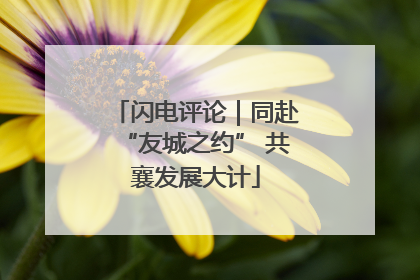 闪电评论｜同赴“友城之约” 共襄发展大计