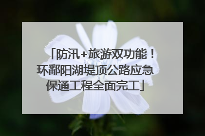 防汛+旅游双功能！环鄱阳湖堤顶公路应急保通工程全面完工