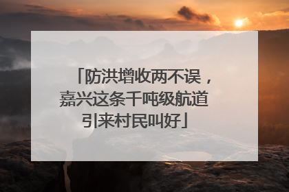 防洪增收两不误，嘉兴这条千吨级航道引来村民叫好