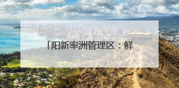 阳新率洲管理区：鲜桃“接力”上市 多品种拉长甜蜜采摘期