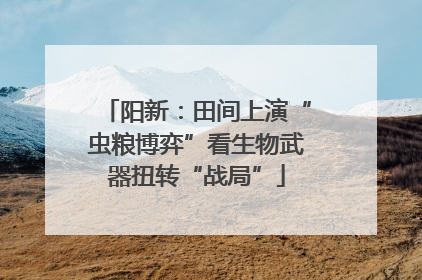 阳新：田间上演“虫粮博弈”看生物武器扭转“战局”