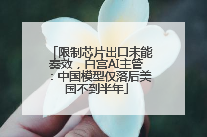 限制芯片出口未能奏效，白宫AI主管：中国模型仅落后美国不到半年