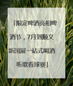 限定啤酒亮相啤酒节，7月到顺义新国展一站式喝酒听歌看球赛