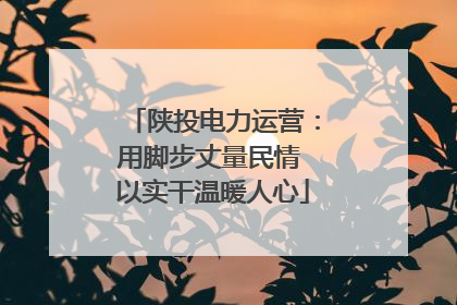 陕投电力运营：用脚步丈量民情 以实干温暖人心