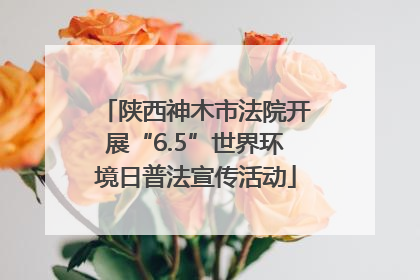 陕西神木市法院开展“6.5”世界环境日普法宣传活动