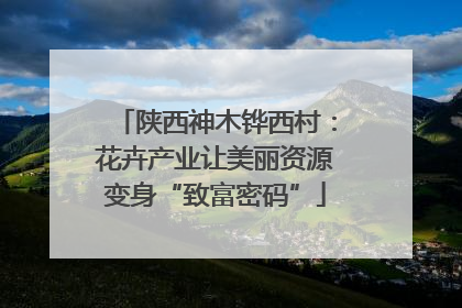 陕西神木铧西村：花卉产业让美丽资源变身“致富密码”
