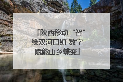 陕西移动“智”绘双河口镇 数字赋能山乡蝶变