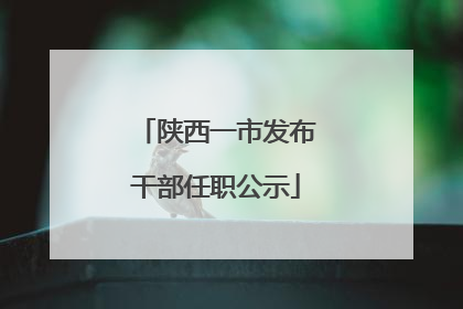 陕西一市发布干部任职公示