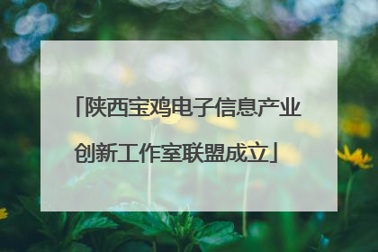 陕西宝鸡电子信息产业创新工作室联盟成立