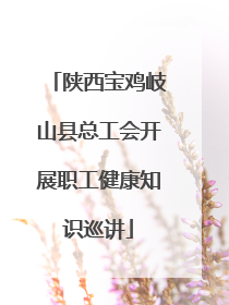 陕西宝鸡岐山县总工会开展职工健康知识巡讲