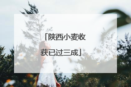 陕西小麦收获已过三成