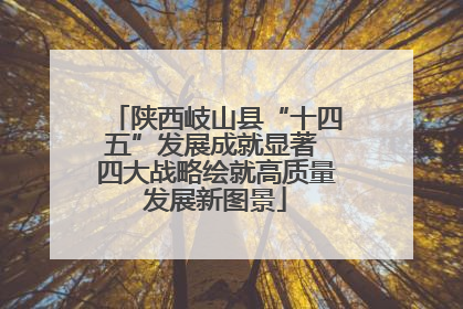 陕西岐山县“十四五”发展成就显著 四大战略绘就高质量发展新图景
