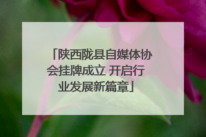 陕西陇县自媒体协会挂牌成立 开启行业发展新篇章