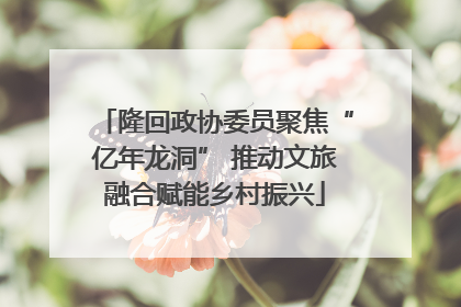隆回政协委员聚焦“亿年龙洞” 推动文旅融合赋能乡村振兴