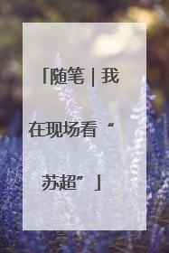 随笔｜我在现场看“苏超”