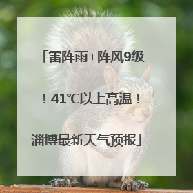 雷阵雨+阵风9级！41℃以上高温！淄博最新天气预报