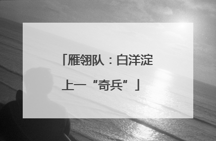 雁翎队：白洋淀上一“奇兵”