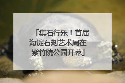 集石行乐！首届海淀石刻艺术周在紫竹院公园开幕