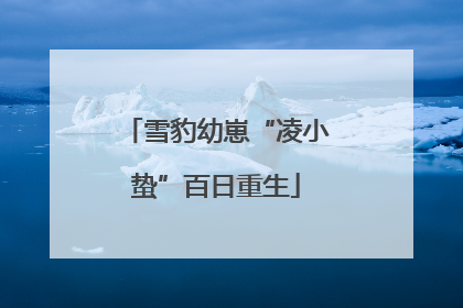 雪豹幼崽“凌小蛰”百日重生