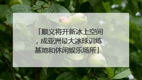 顺义将开新冰上空间，成亚洲最大冰球训练基地和休闲娱乐场所