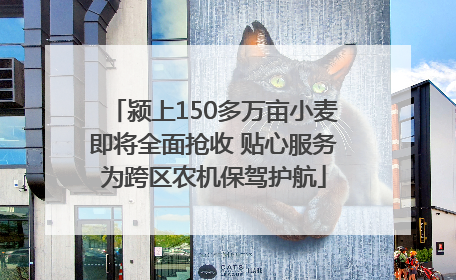 颍上150多万亩小麦即将全面抢收 贴心服务为跨区农机保驾护航