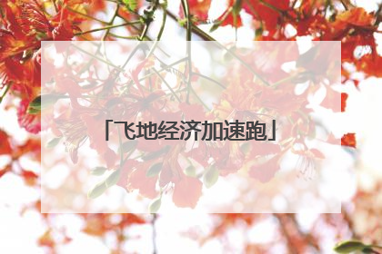 飞地经济加速跑
