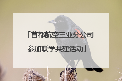 首都航空三亚分公司参加联学共建活动
