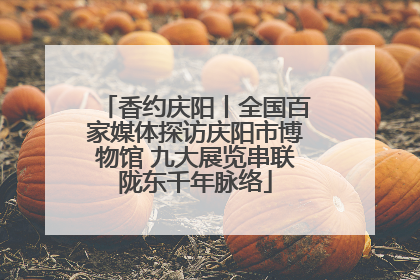 香约庆阳丨全国百家媒体探访庆阳市博物馆 九大展览串联陇东千年脉络