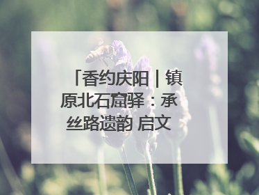 香约庆阳｜镇原北石窟驿：承丝路遗韵 启文旅创新篇章
