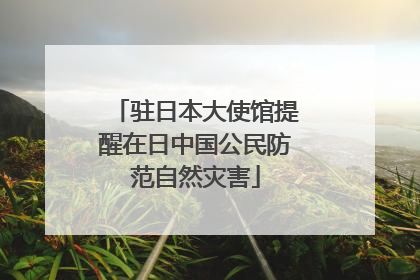 驻日本大使馆提醒在日中国公民防范自然灾害