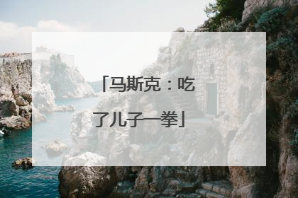马斯克:吃了儿子一拳
