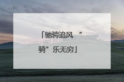 驰骋追风 “骑”乐无穷