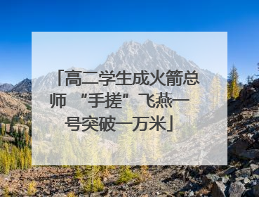 高二学生成火箭总师 “手搓”飞燕一号突破一万米