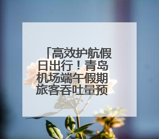 高效护航假日出行！青岛机场端午假期旅客吞吐量预计达21万人次