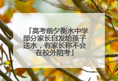 高考前夕衡水中学部分家长自发给孩子送水，有家长称不会在校外陪考