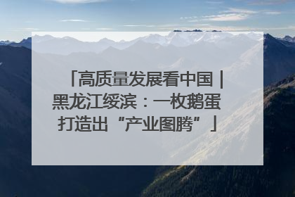 高质量发展看中国｜黑龙江绥滨：一枚鹅蛋打造出“产业图腾”