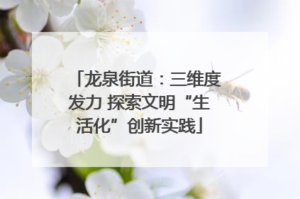 龙泉街道：三维度发力 探索文明“生活化”创新实践