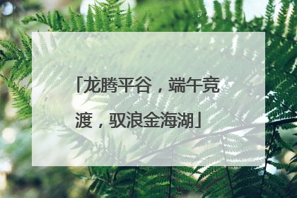 龙腾平谷，端午竞渡，驭浪金海湖