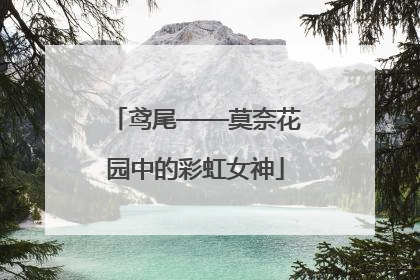 鸢尾——莫奈花园中的彩虹女神